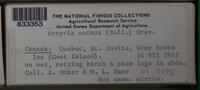 Image Associated With the Occurence